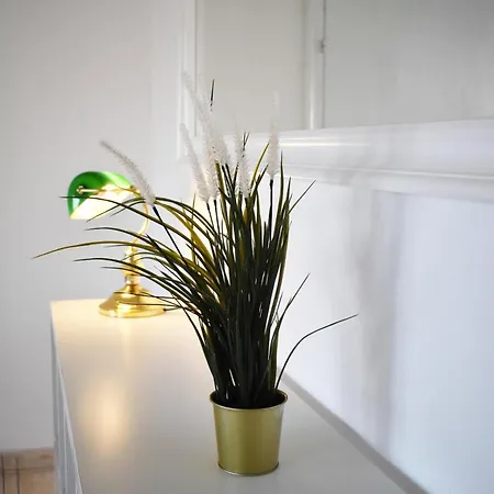 Sunny Rooftop In 91sqm Terrace Delight! Apartment